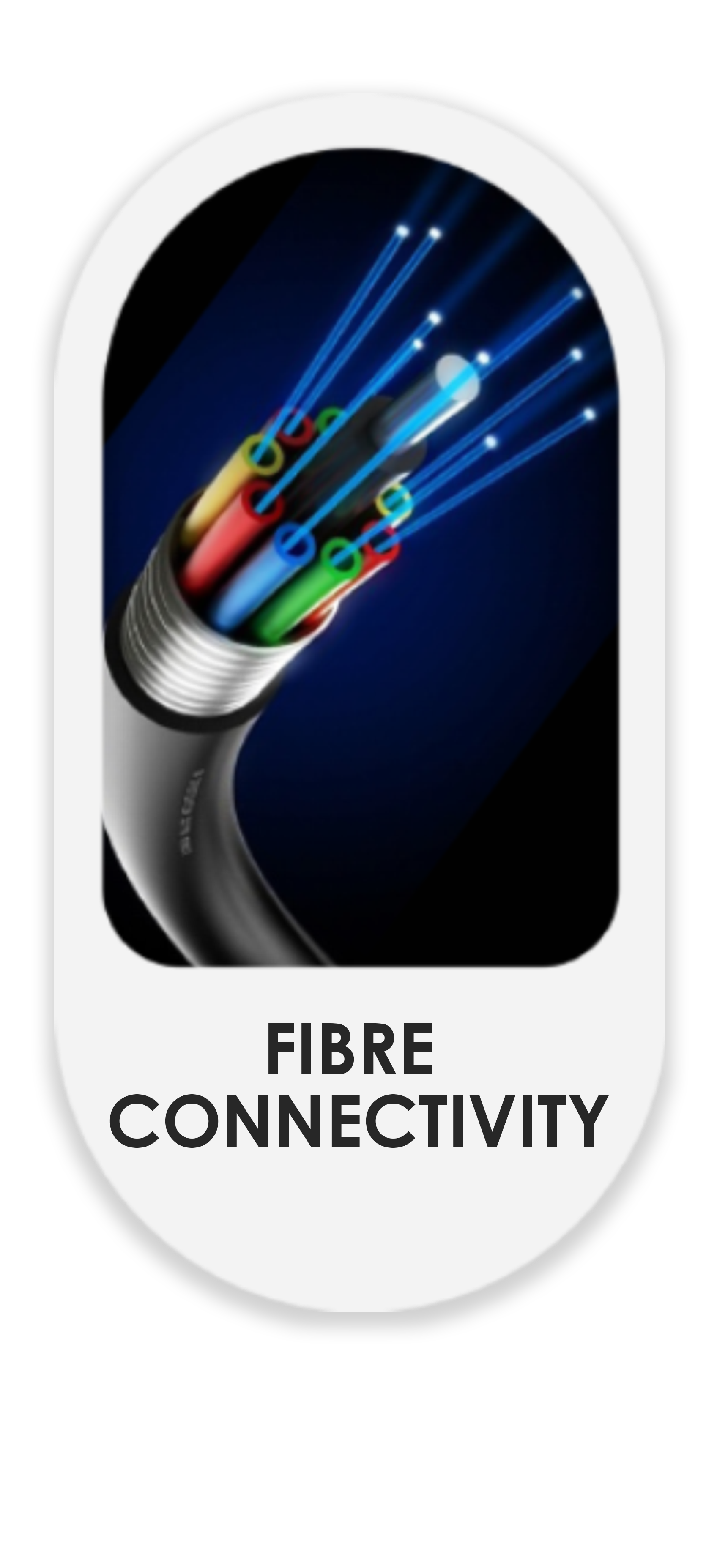 Fibre Connectivity Services