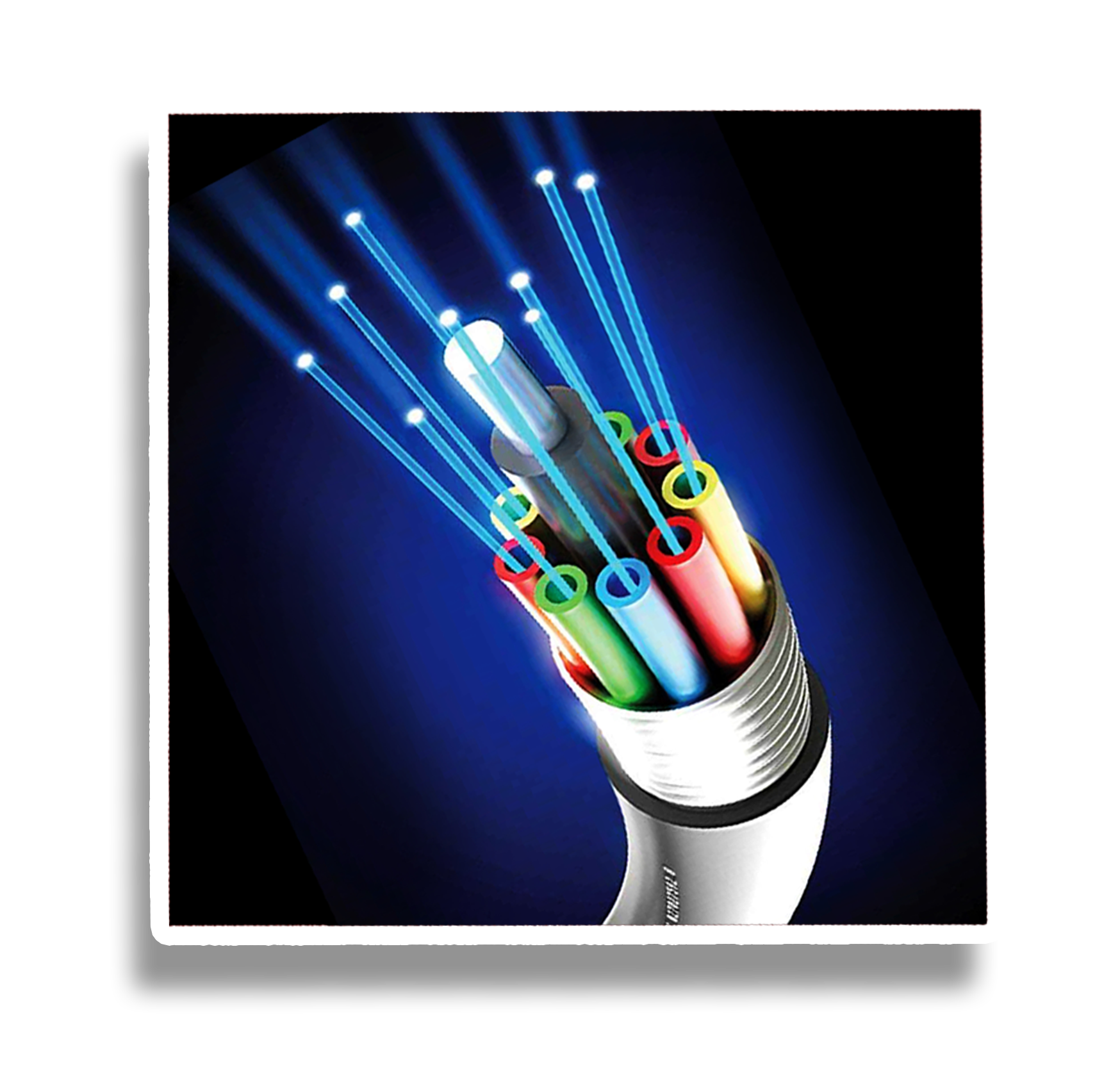 Network Infrastructure