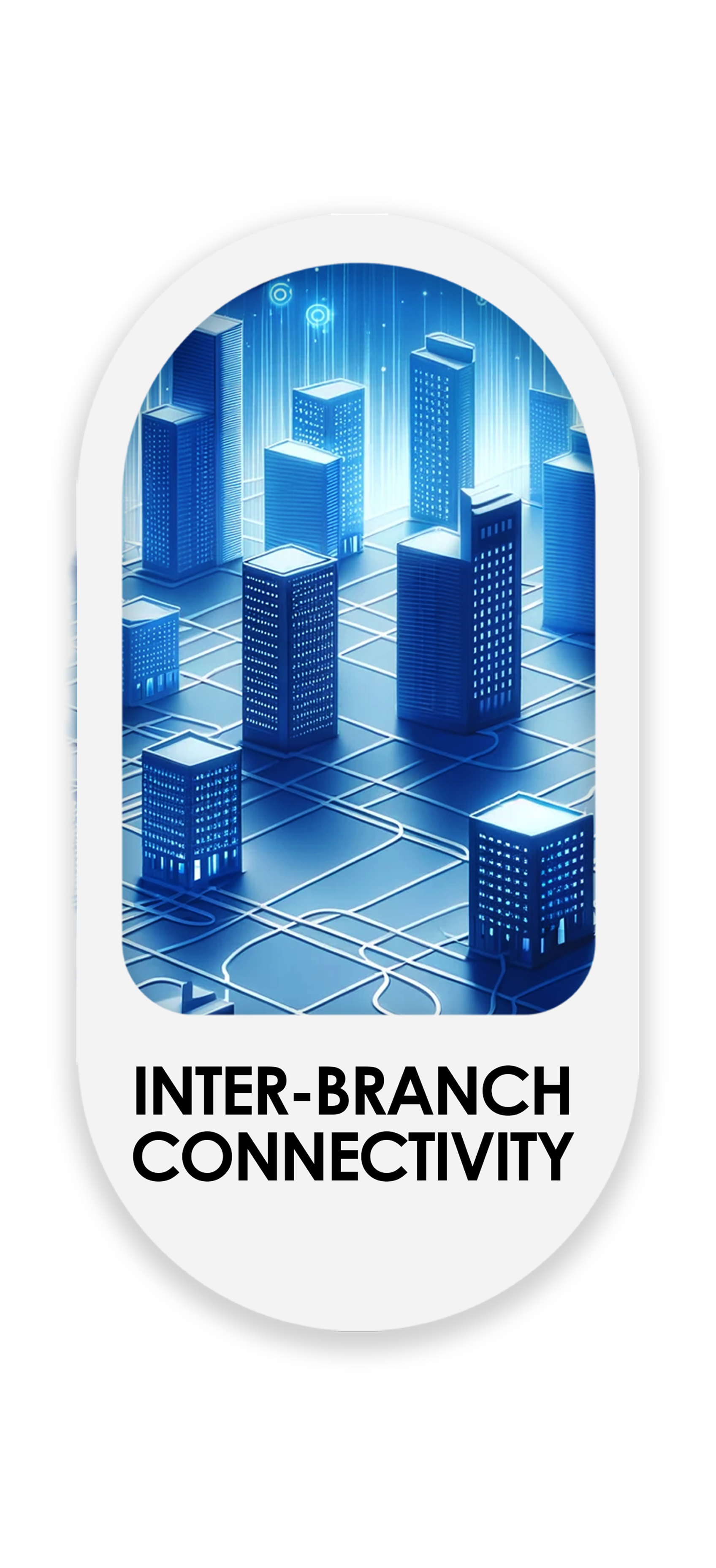 Inter-Branch Connectivity