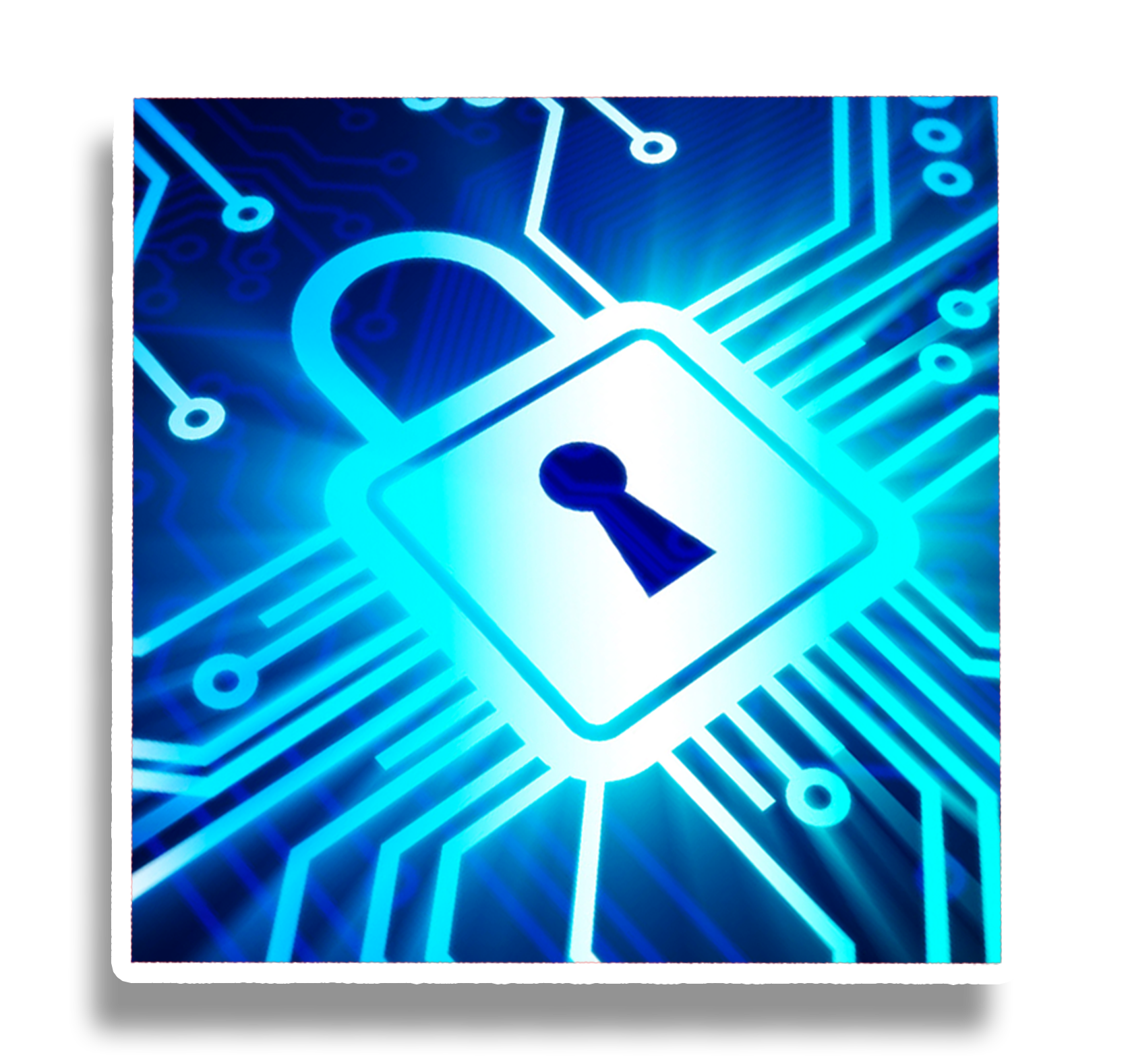 ISO Certified Excellence